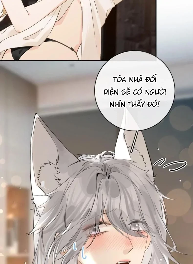 Sói Tiểu Thư Và Em Gái Hồ Ly Của Tôi Chapter 70.5 - Trang 12