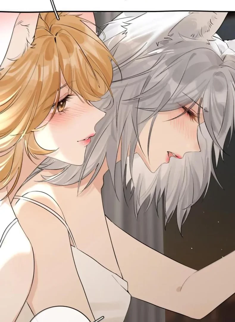 Sói Tiểu Thư Và Em Gái Hồ Ly Của Tôi Chapter 70.5 - Trang 17