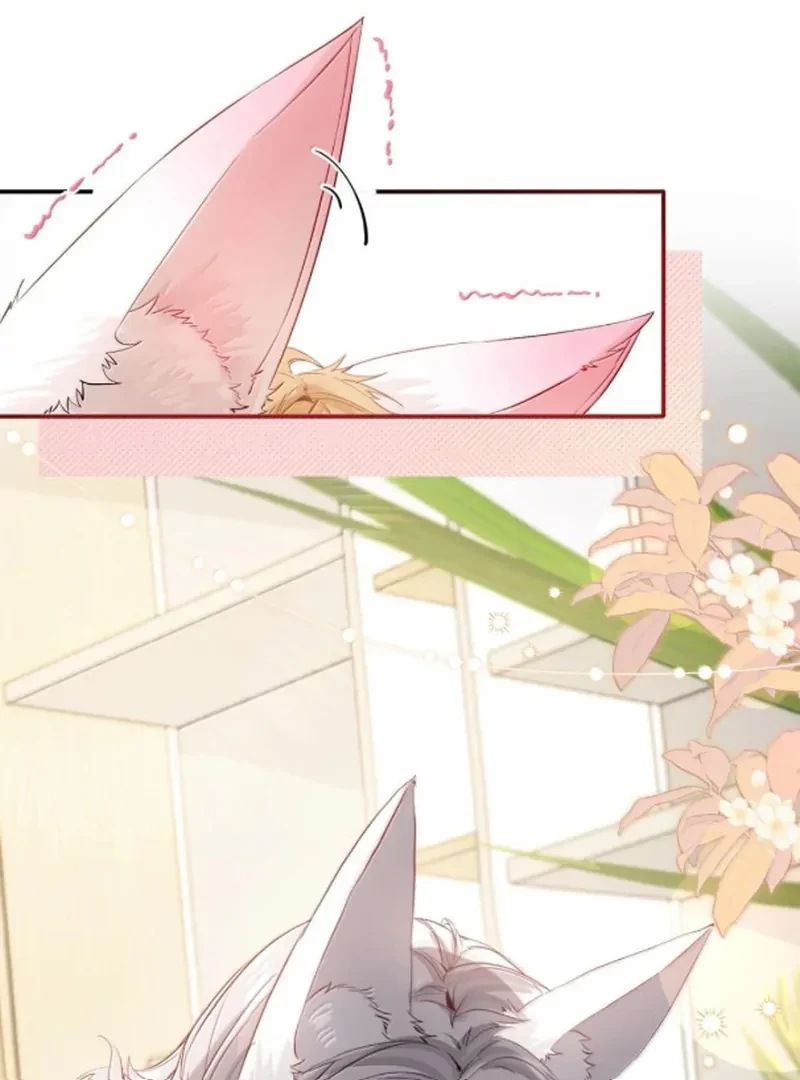 Sói Tiểu Thư Và Em Gái Hồ Ly Của Tôi Chapter 70.7 - Trang 24