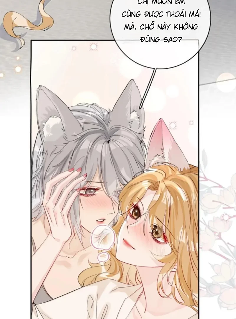 Sói Tiểu Thư Và Em Gái Hồ Ly Của Tôi Chapter 70.7 - Trang 30