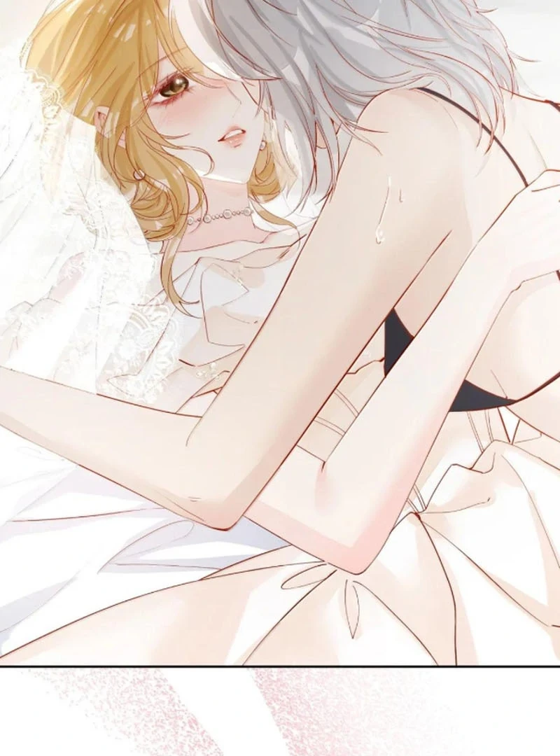 Sói Tiểu Thư Và Em Gái Hồ Ly Của Tôi Chapter 70 - Trang 38