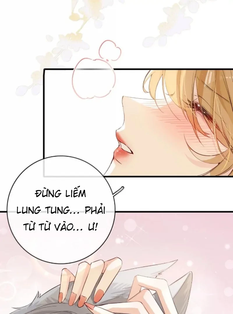 Sói Tiểu Thư Và Em Gái Hồ Ly Của Tôi Chapter 71 - Trang 28