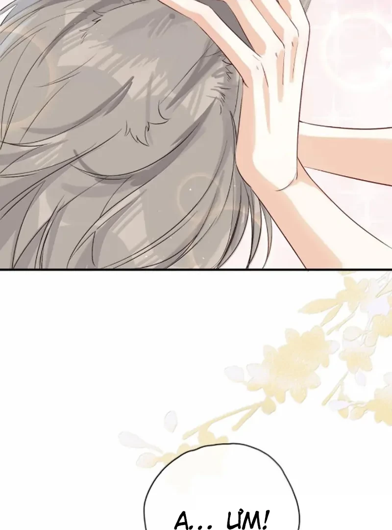 Sói Tiểu Thư Và Em Gái Hồ Ly Của Tôi Chapter 71 - Trang 29