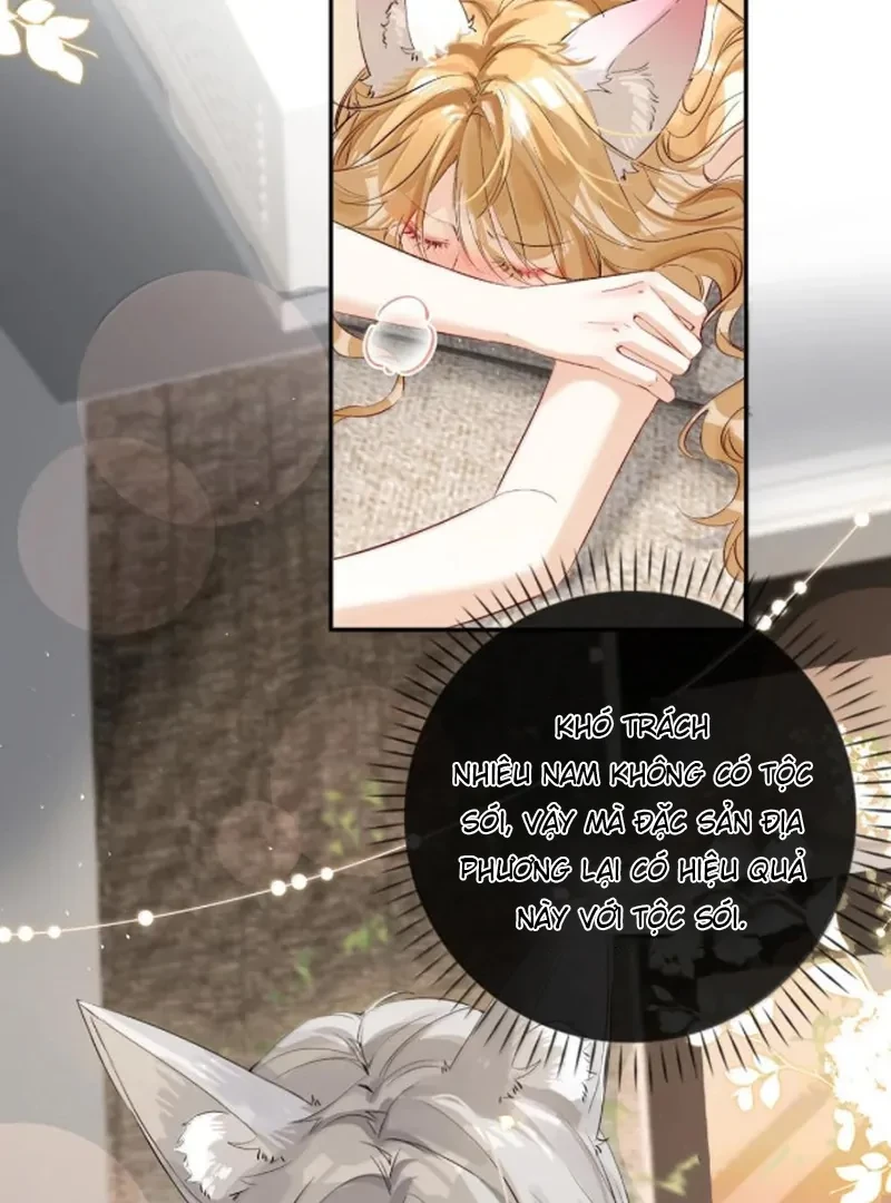 Sói Tiểu Thư Và Em Gái Hồ Ly Của Tôi Chapter 71 - Trang 32
