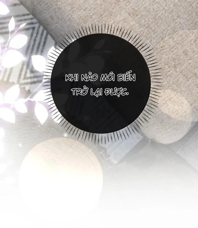 Sói Tiểu Thư Và Em Gái Hồ Ly Của Tôi Chapter 71 - Trang 39