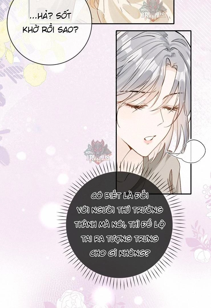 Sói Tiểu Thư Và Em Gái Hồ Ly Của Tôi Chapter 8 - Trang 24