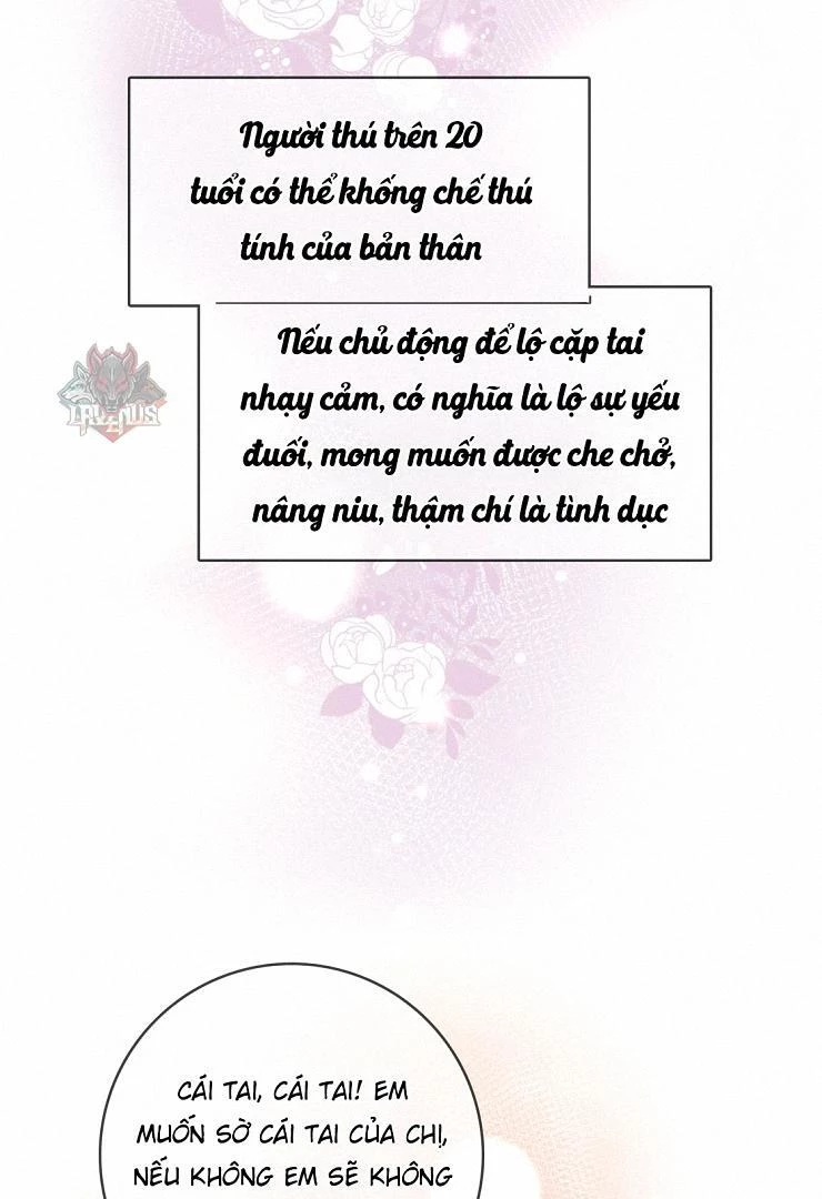 Sói Tiểu Thư Và Em Gái Hồ Ly Của Tôi Chapter 8 - Trang 25