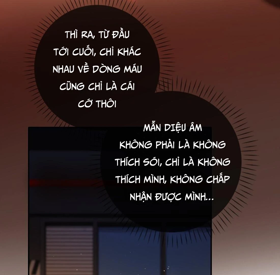 Sói Tiểu Thư Và Em Gái Hồ Ly Của Tôi Chapter 9 - Trang 20