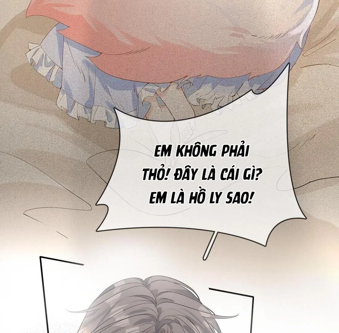Sói Tiểu Thư Và Em Gái Hồ Ly Của Tôi Chapter 9 - Trang 5