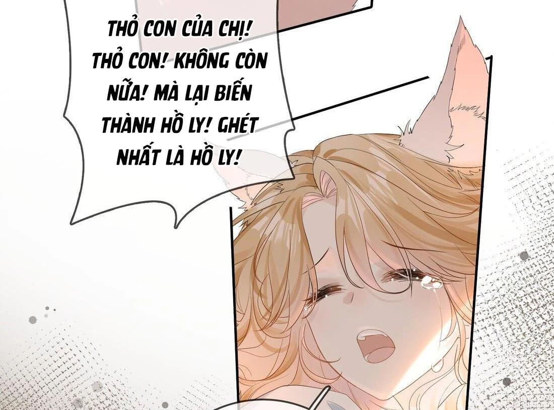 Sói Tiểu Thư Và Em Gái Hồ Ly Của Tôi Chapter 9 - Trang 7