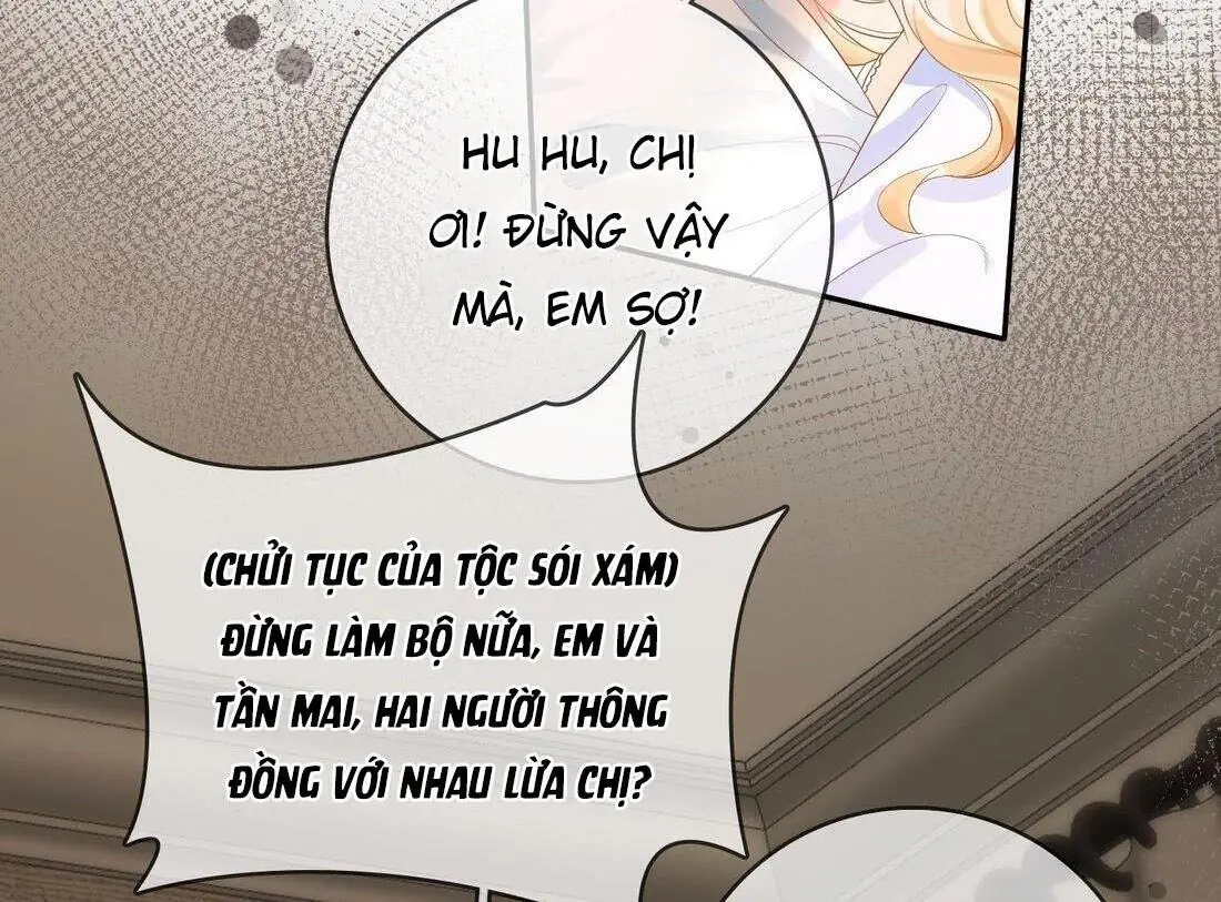 Sói Tiểu Thư Và Em Gái Hồ Ly Của Tôi Chapter 9 - Trang 8