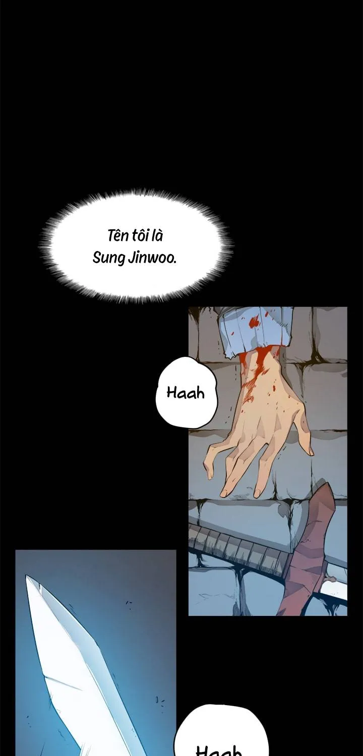 Solo Leveling - Tôi Thăng Cấp Một Mình Chapter 1 - Trang 3