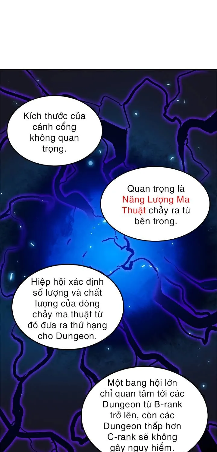 Solo Leveling - Tôi Thăng Cấp Một Mình Chapter 19 - Trang 20