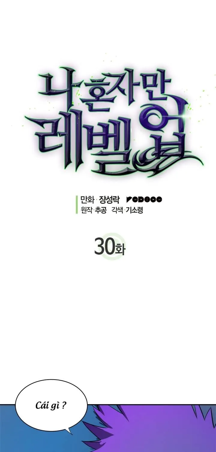 Solo Leveling - Tôi Thăng Cấp Một Mình Chapter 30 - Trang 11