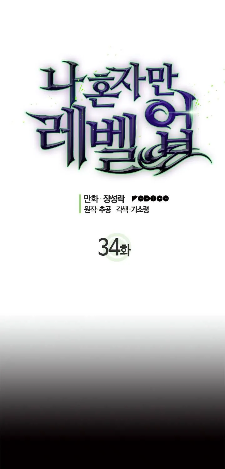 Solo Leveling - Tôi Thăng Cấp Một Mình Chapter 34 - Trang 3