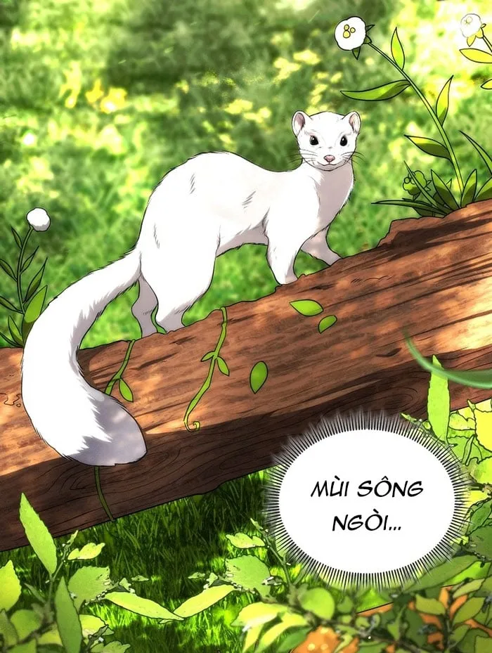 Sống Như Một Man Di Trong Thế Giới Fantasy Chapter 5 - Trang 4