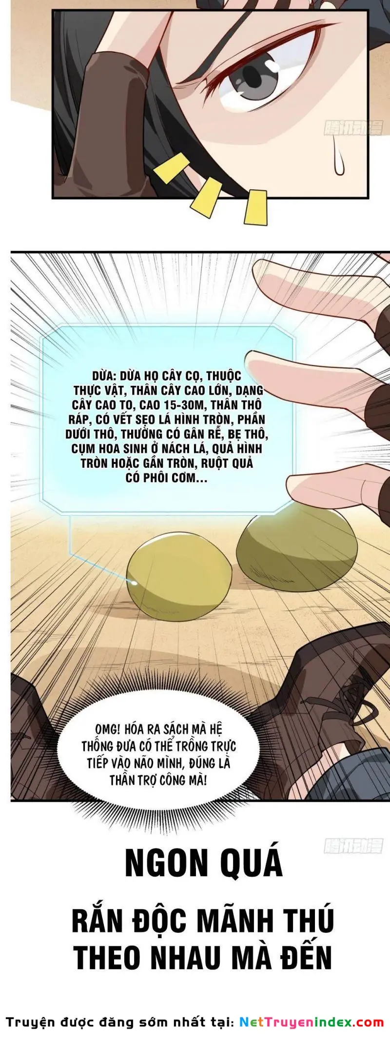 Sống Trên Hoang đảo Cùng Các Em Gái Chapter 0 - Trang 4