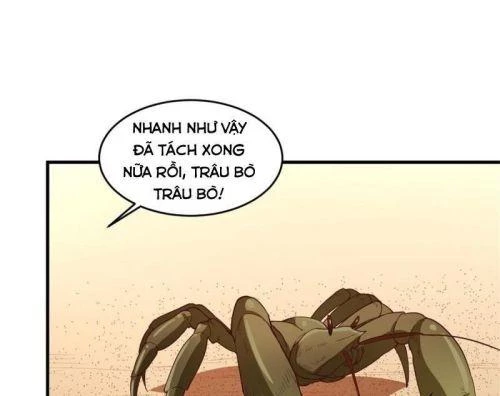 Sống Trên Hoang đảo Cùng Các Em Gái Chapter 10 - Trang 7