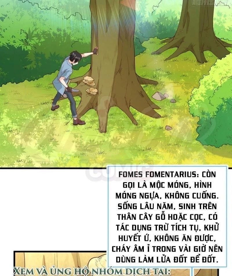 Sống Trên Hoang đảo Cùng Các Em Gái Chapter 12 - Trang 3