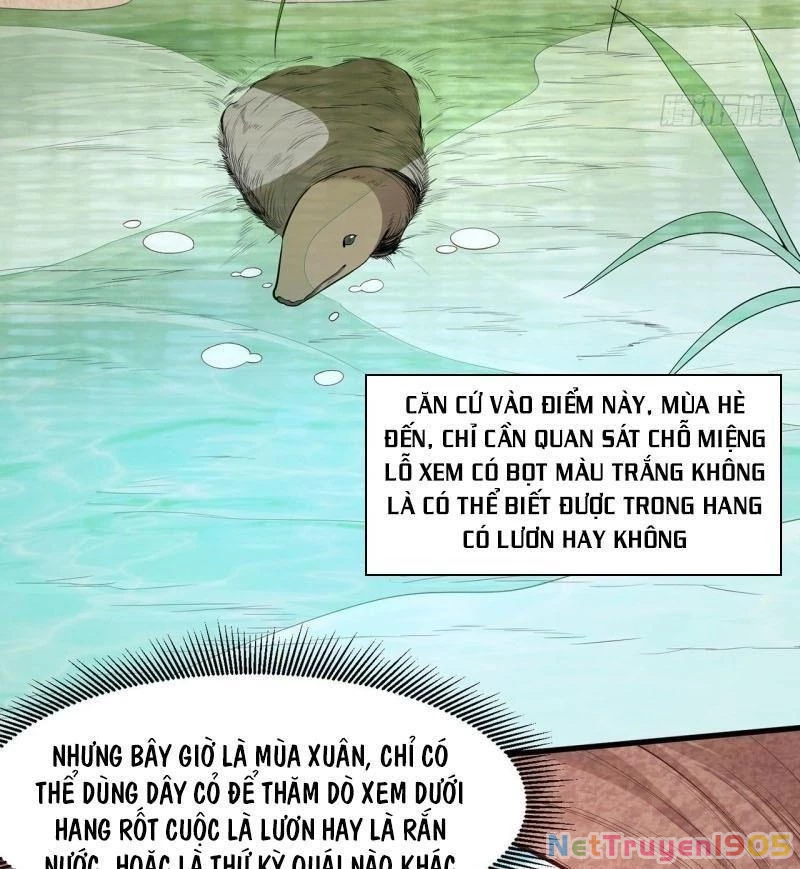 Sống Trên Hoang đảo Cùng Các Em Gái Chapter 13 - Trang 14