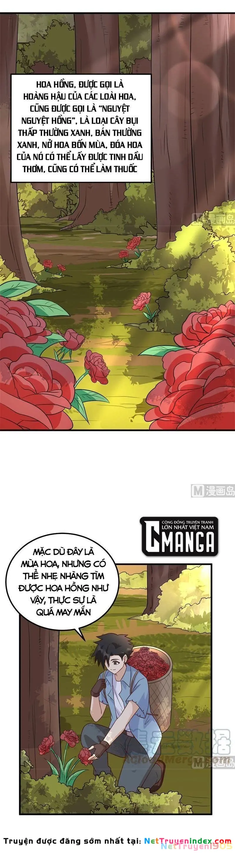 Sống Trên Hoang đảo Cùng Các Em Gái Chapter 138 - Trang 10