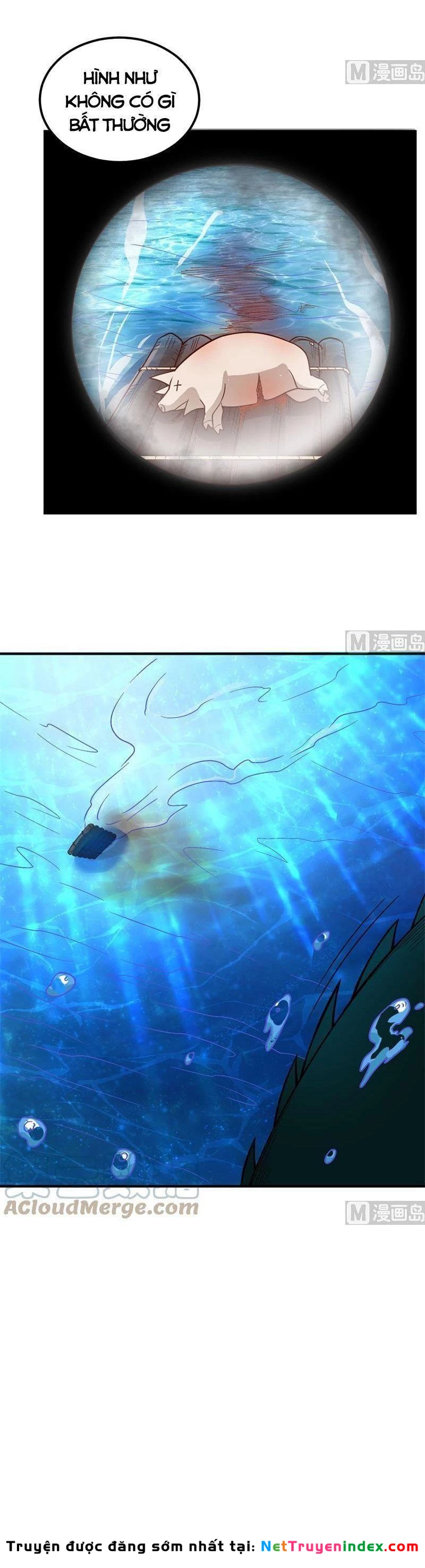 Sống Trên Hoang đảo Cùng Các Em Gái Chapter 145 - Trang 5