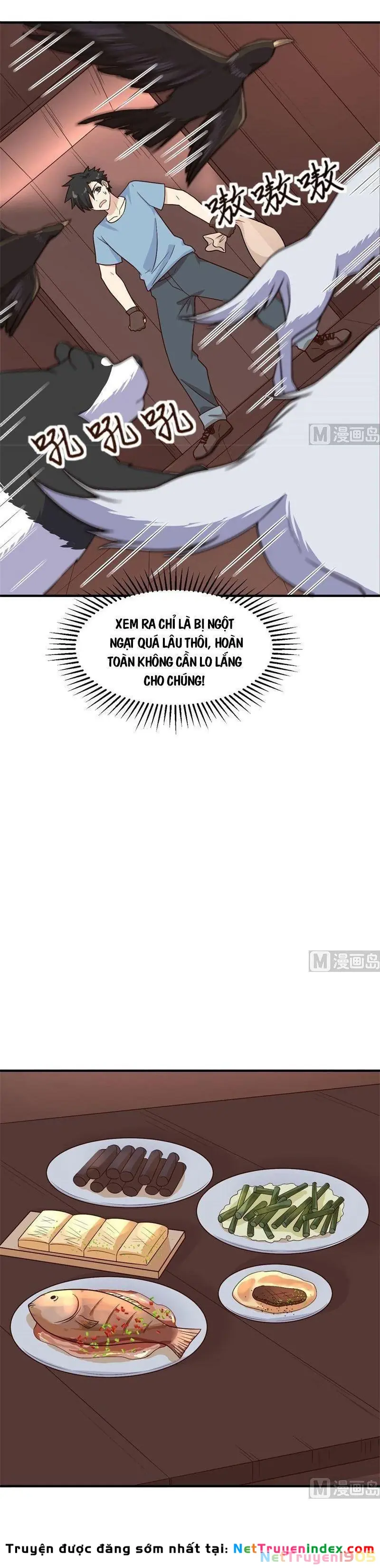 Sống Trên Hoang đảo Cùng Các Em Gái Chapter 147 - Trang 5