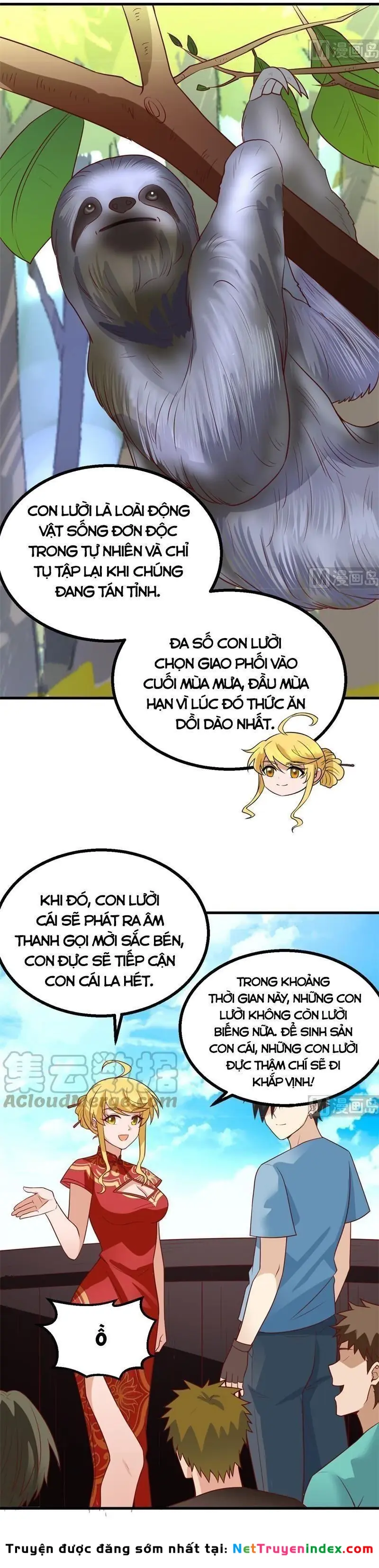 Sống Trên Hoang đảo Cùng Các Em Gái Chapter 151 - Trang 15