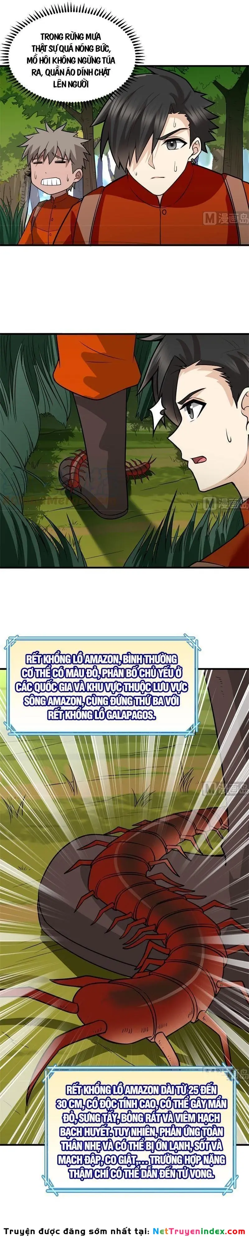 Sống Trên Hoang đảo Cùng Các Em Gái Chapter 153 - Trang 13