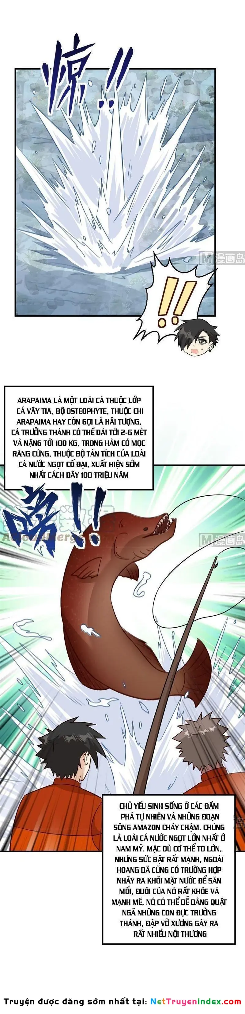 Sống Trên Hoang đảo Cùng Các Em Gái Chapter 162 - Trang 12