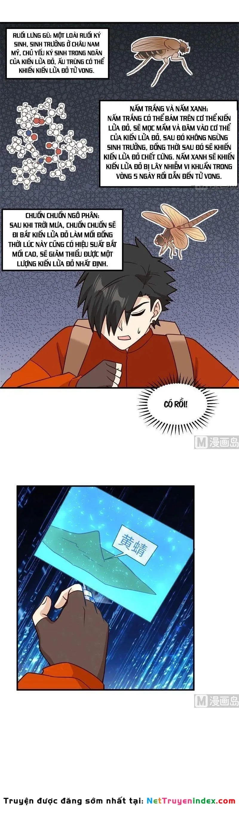 Sống Trên Hoang đảo Cùng Các Em Gái Chapter 167 - Trang 3