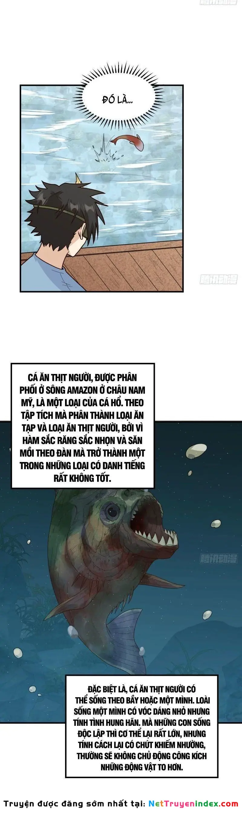 Sống Trên Hoang đảo Cùng Các Em Gái Chapter 178 - Trang 13