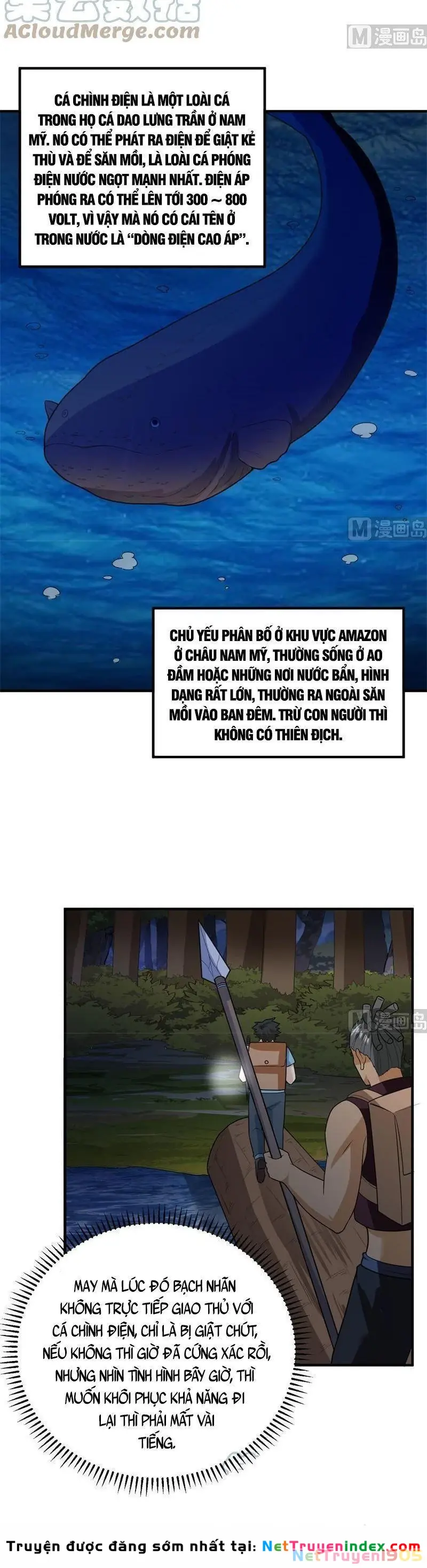 Sống Trên Hoang đảo Cùng Các Em Gái Chapter 185 - Trang 9