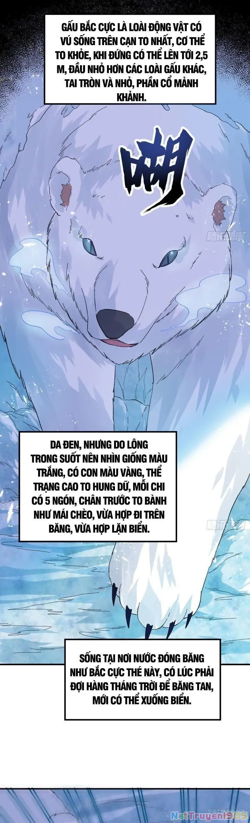 Sống Trên Hoang đảo Cùng Các Em Gái Chapter 218 - Trang 12