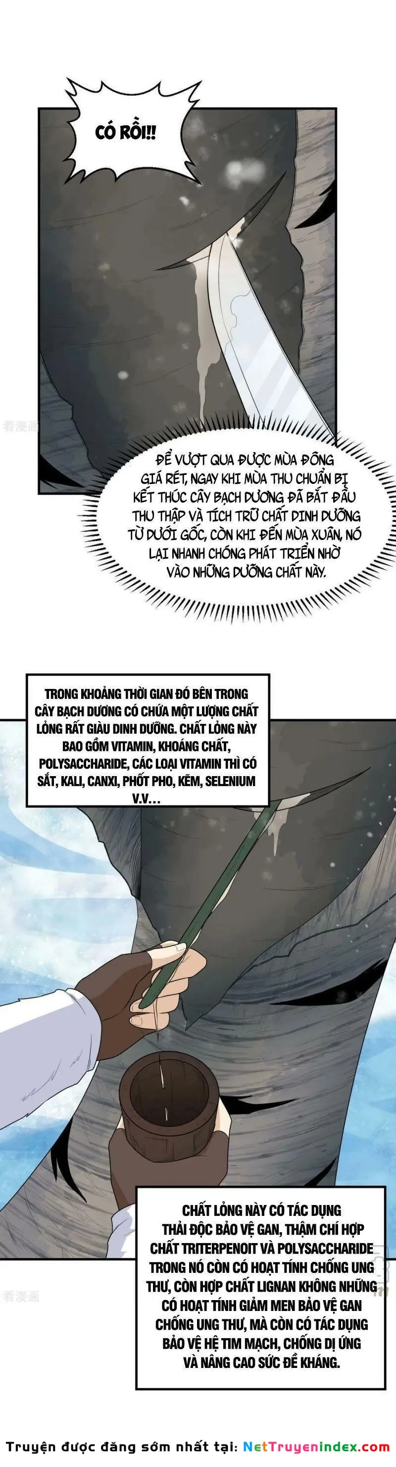 Sống Trên Hoang đảo Cùng Các Em Gái Chapter 223 - Trang 11