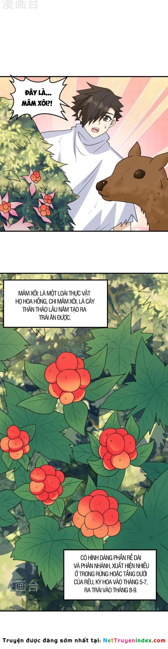 Sống Trên Hoang đảo Cùng Các Em Gái Chapter 232 - Trang 6