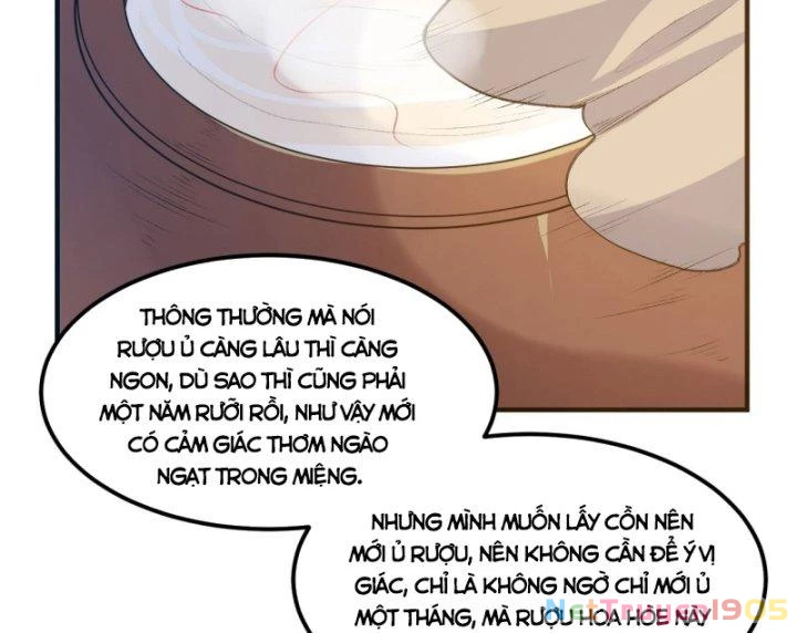Sống Trên Hoang đảo Cùng Các Em Gái Chapter 242 - Trang 11
