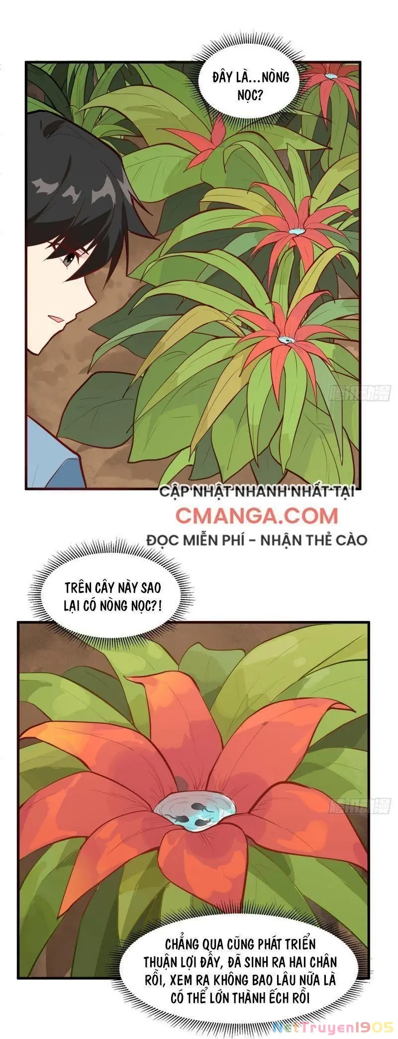 Sống Trên Hoang đảo Cùng Các Em Gái Chapter 26 - Trang 10