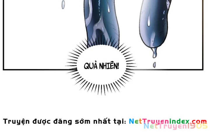 Sống Trên Hoang đảo Cùng Các Em Gái Chapter 261 - Trang 15