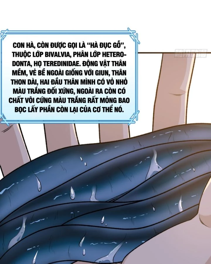 Sống Trên Hoang đảo Cùng Các Em Gái Chapter 261 - Trang 7