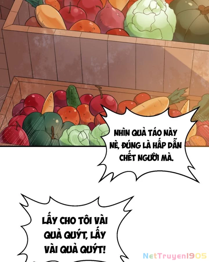 Sống Trên Hoang đảo Cùng Các Em Gái Chapter 268 - Trang 4
