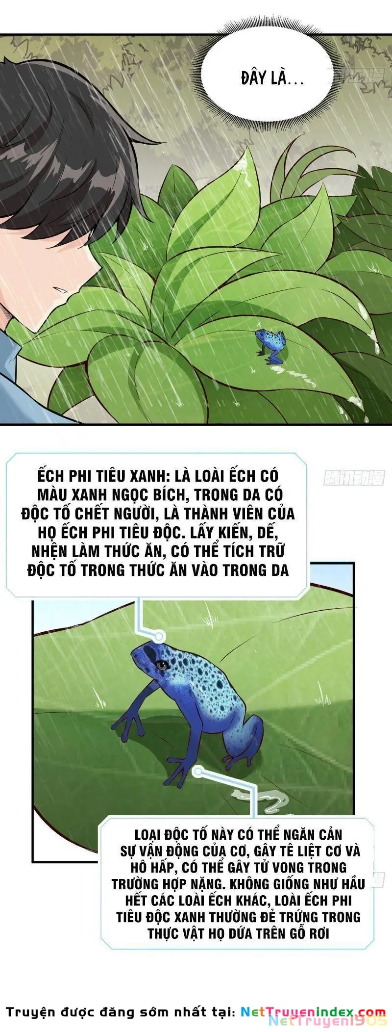 Sống Trên Hoang đảo Cùng Các Em Gái Chapter 31 - Trang 19