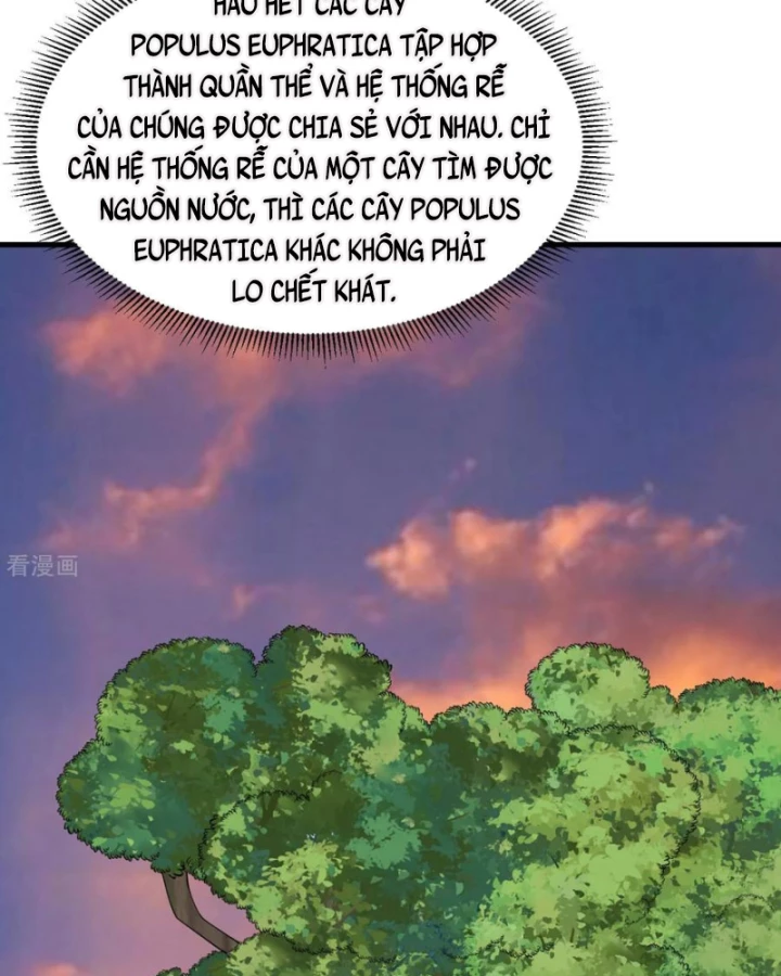 Sống Trên Hoang đảo Cùng Các Em Gái Chapter 316 - Trang 12
