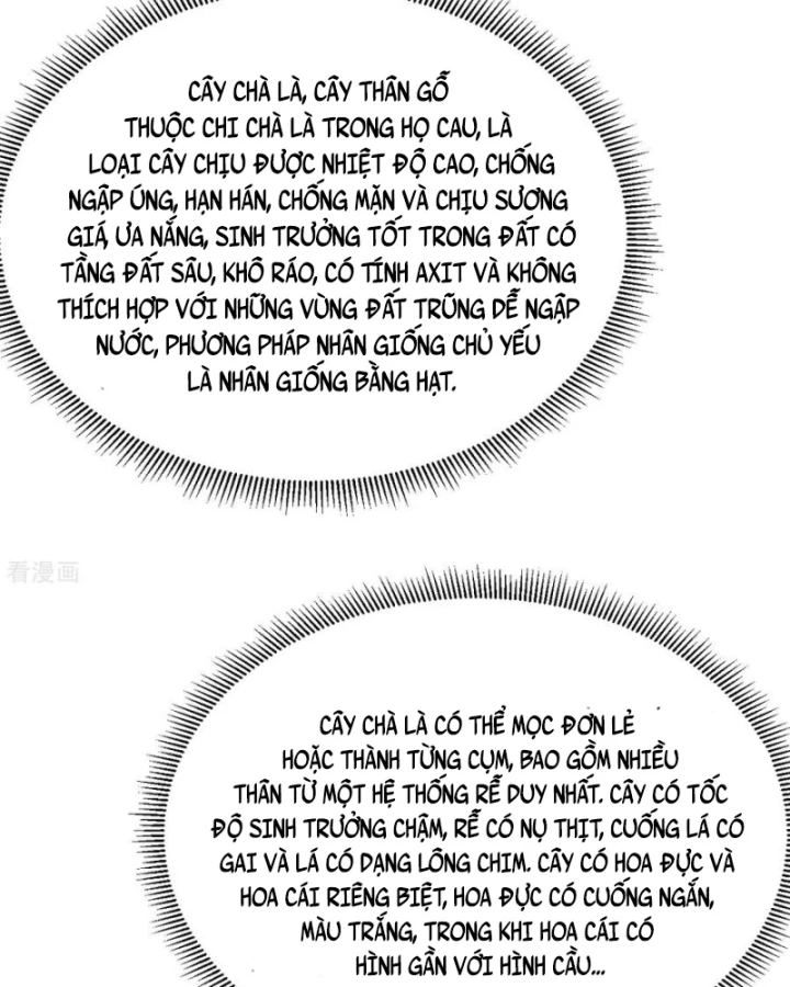 Sống Trên Hoang đảo Cùng Các Em Gái Chapter 317 - Trang 12