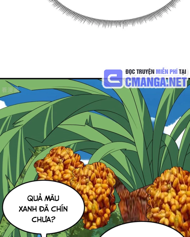 Sống Trên Hoang đảo Cùng Các Em Gái Chapter 317 - Trang 13