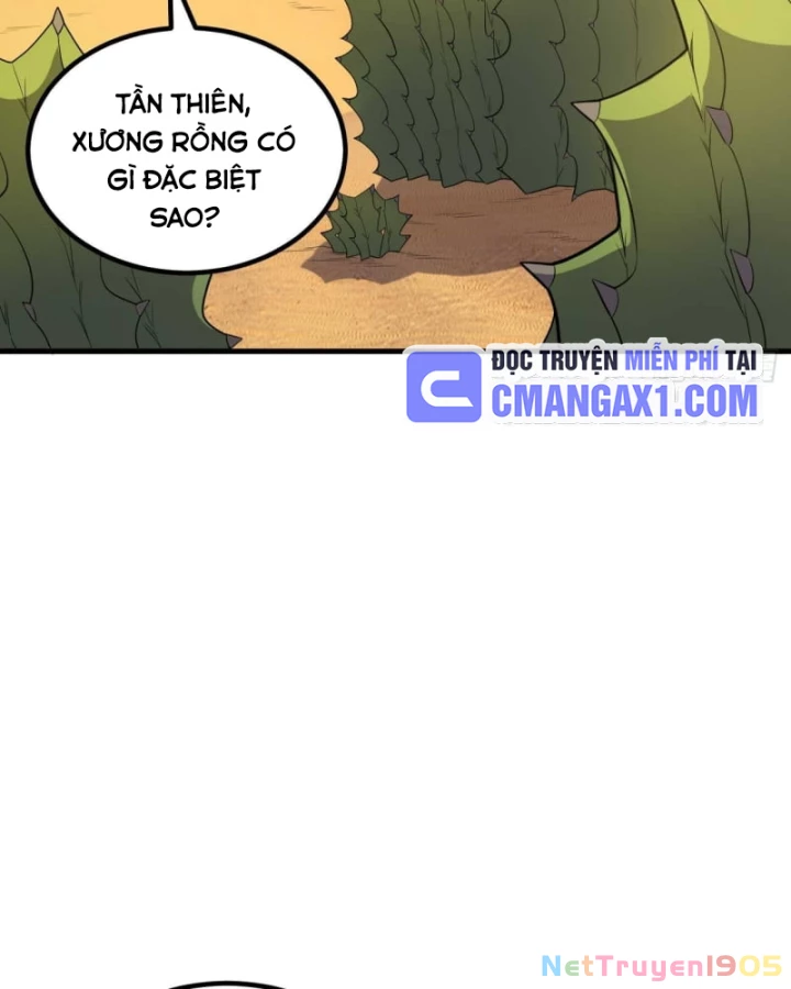 Sống Trên Hoang đảo Cùng Các Em Gái Chapter 325 - Trang 12
