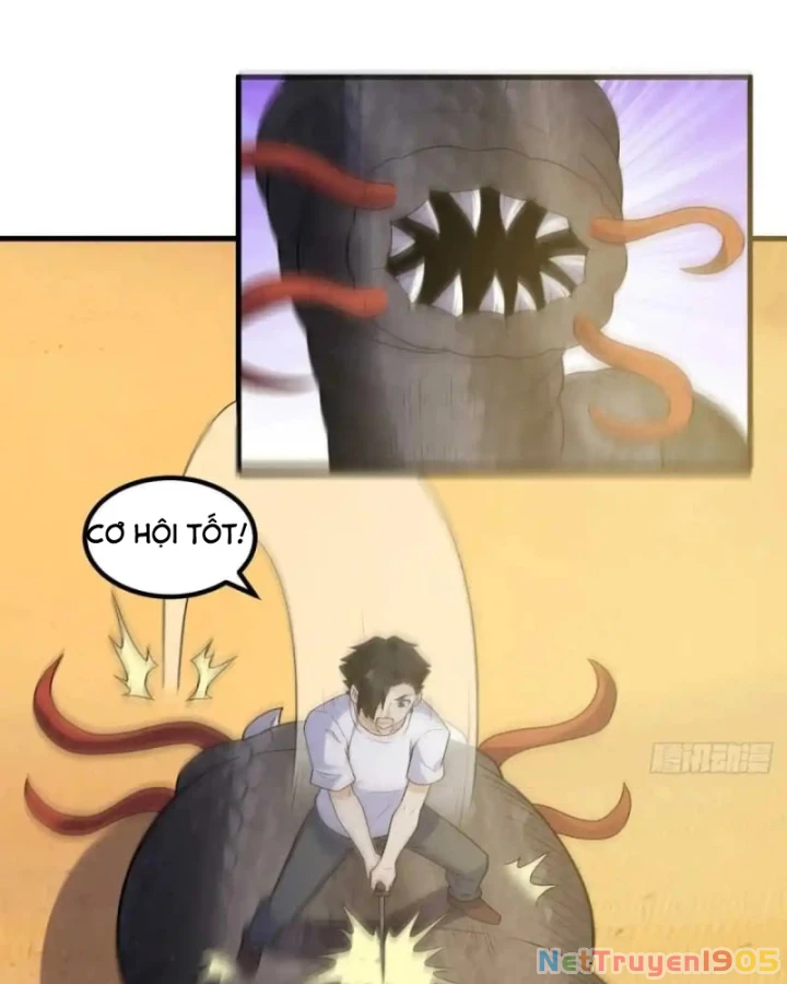 Sống Trên Hoang đảo Cùng Các Em Gái Chapter 326 - Trang 15
