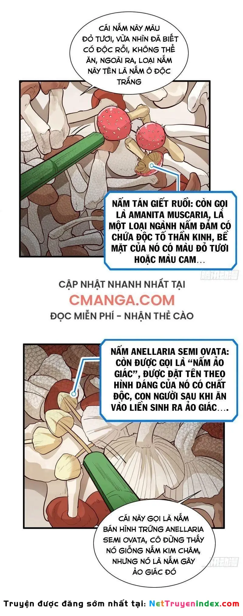 Sống Trên Hoang đảo Cùng Các Em Gái Chapter 39 - Trang 10