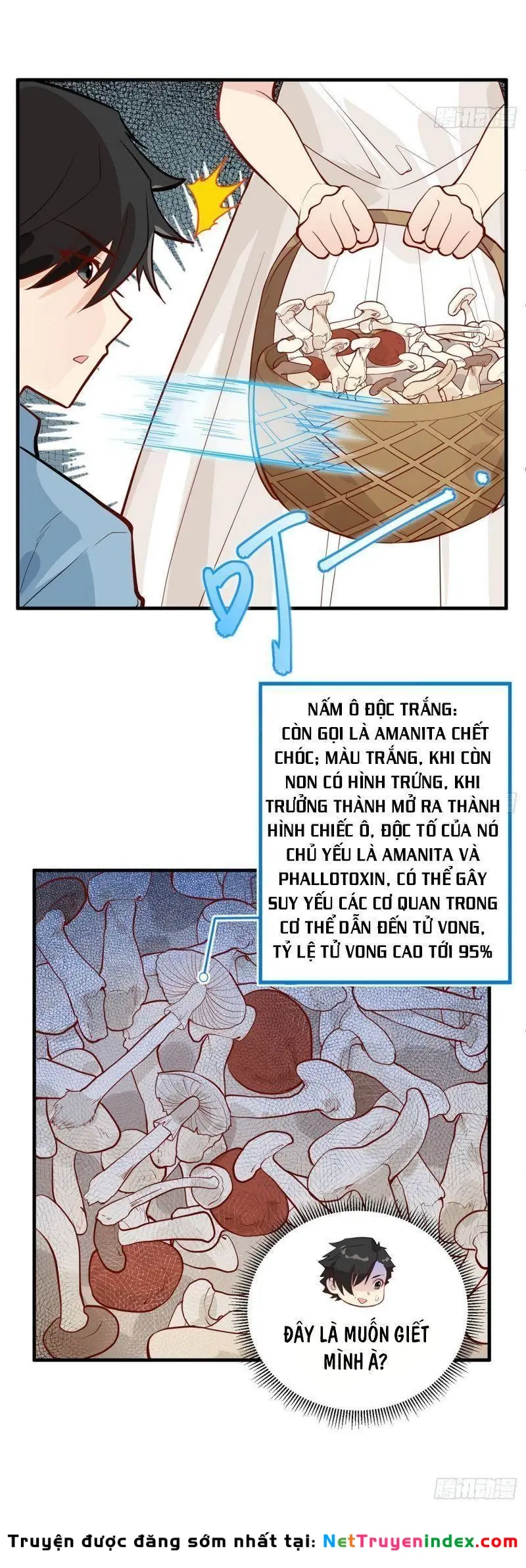 Sống Trên Hoang đảo Cùng Các Em Gái Chapter 39 - Trang 9