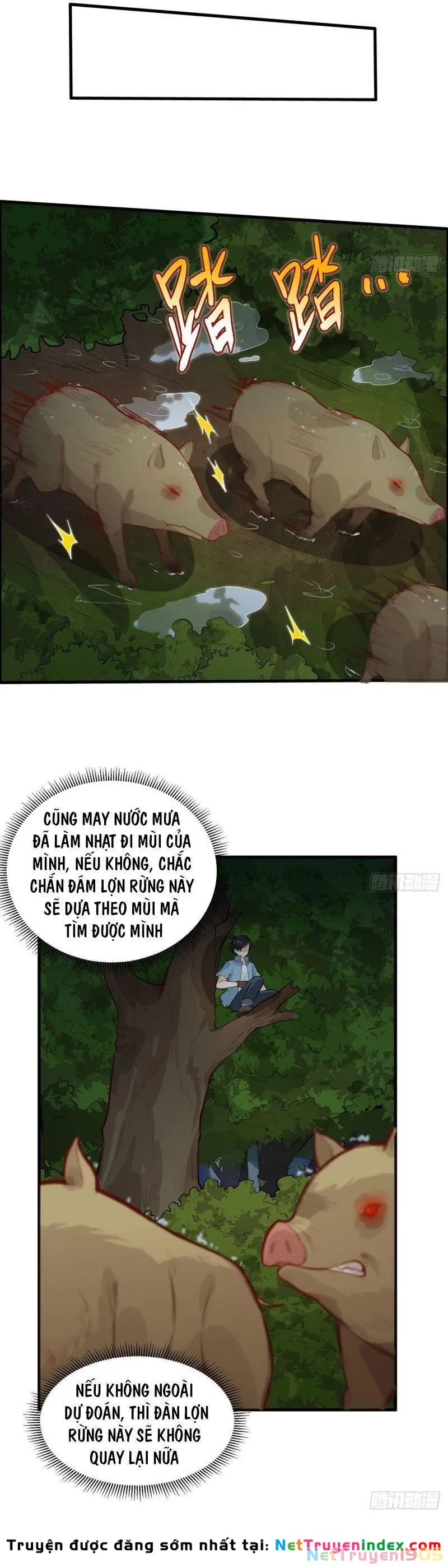 Sống Trên Hoang đảo Cùng Các Em Gái Chapter 41 - Trang 5